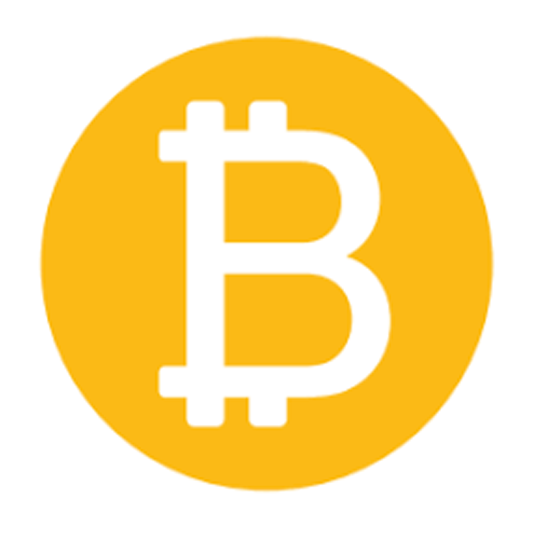 Bitcoin Logo